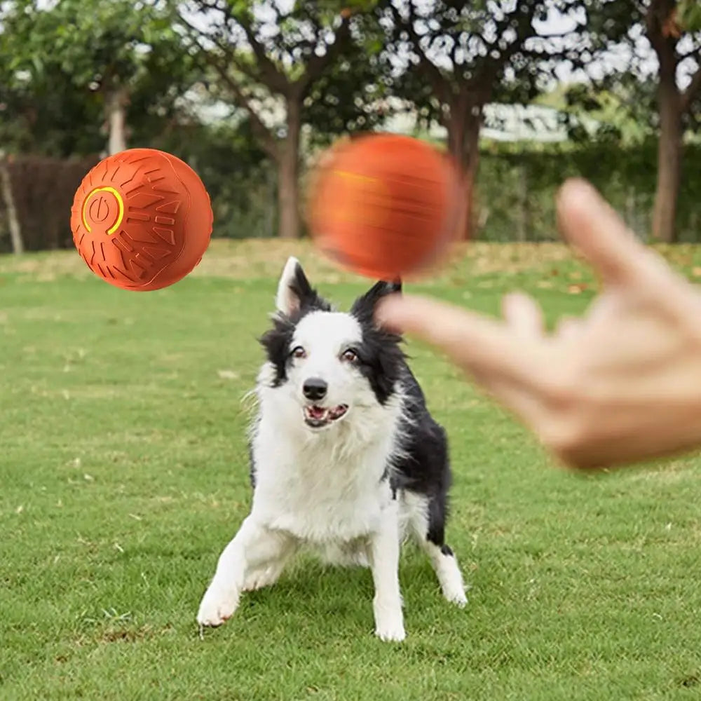 Shaky Ball Toy For Dogs Automatic Dog Vibrating Ball Pet Toys USB Shaking Dog Ball Interactive Dog Toy For Chinese New Year
