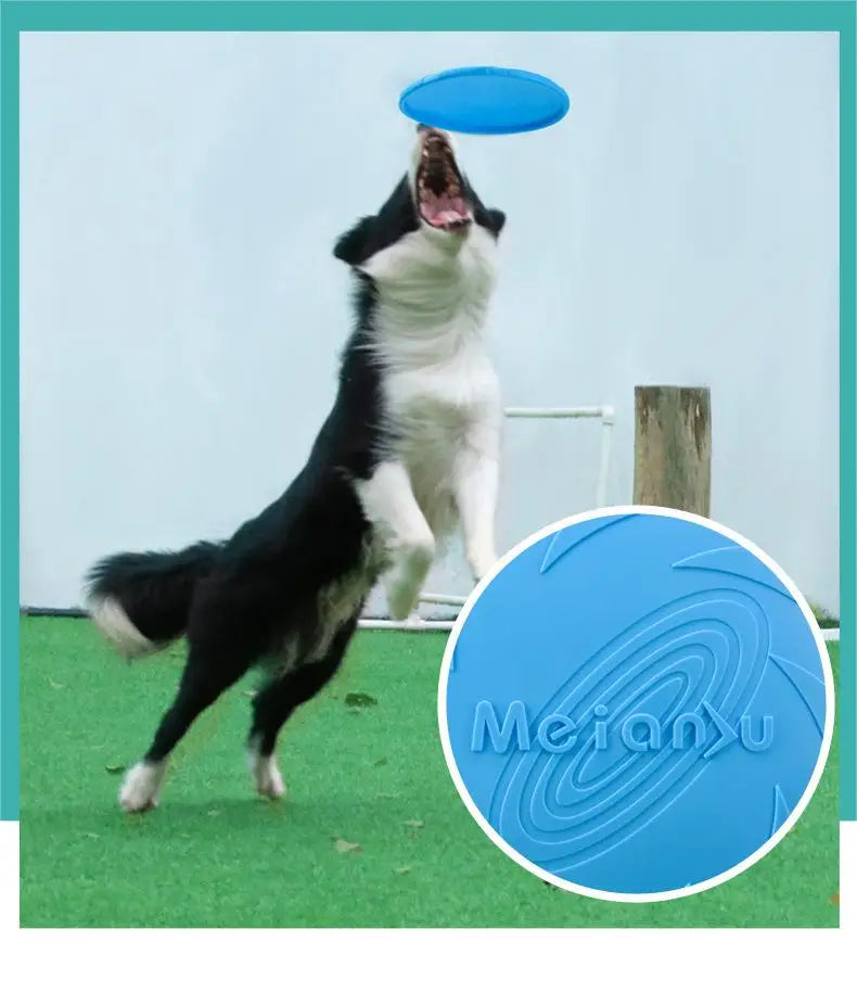π₯ Bite-Resistant Flying Disc π₯