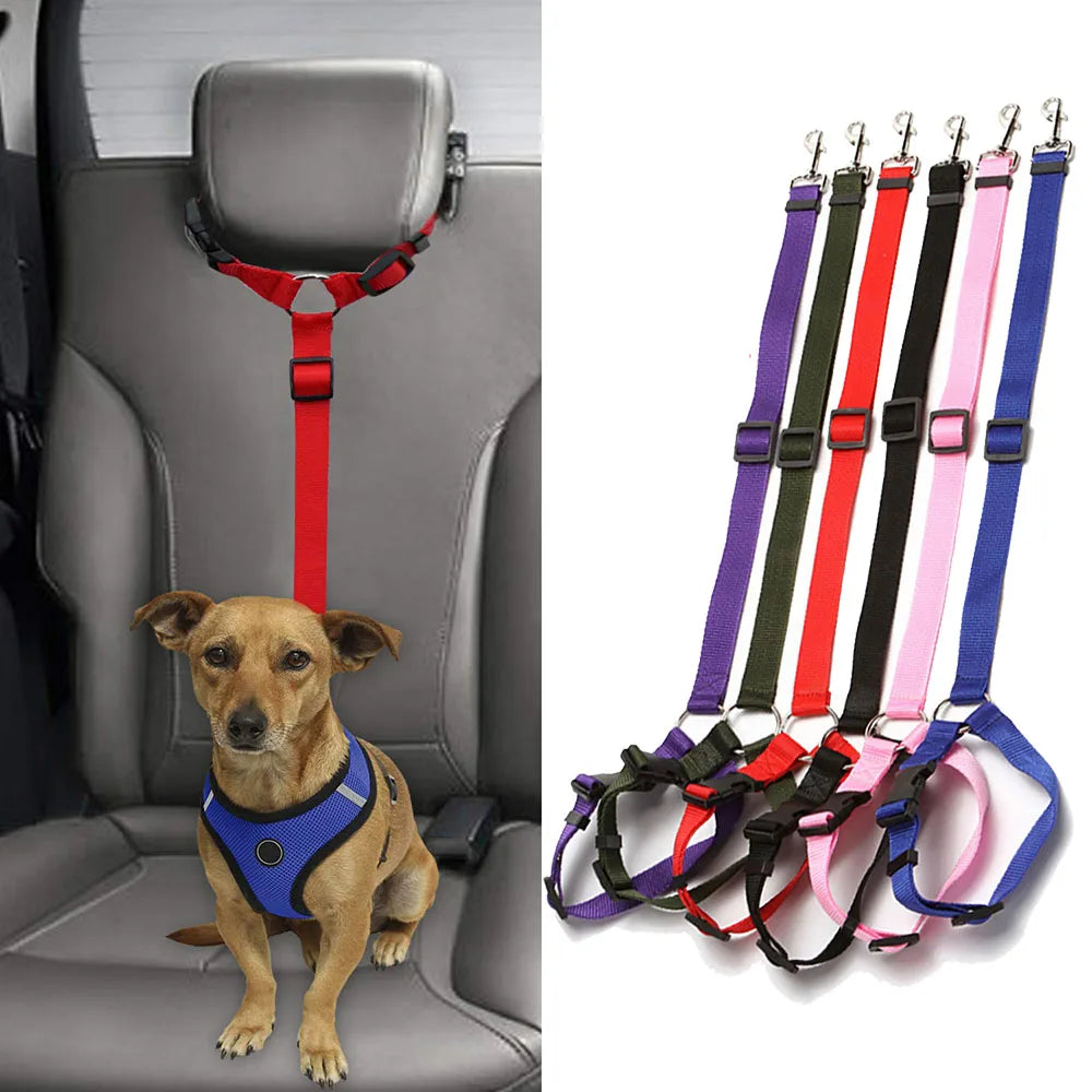 🐾 Two-in-One Dog Harness & Seat Belt 🐾