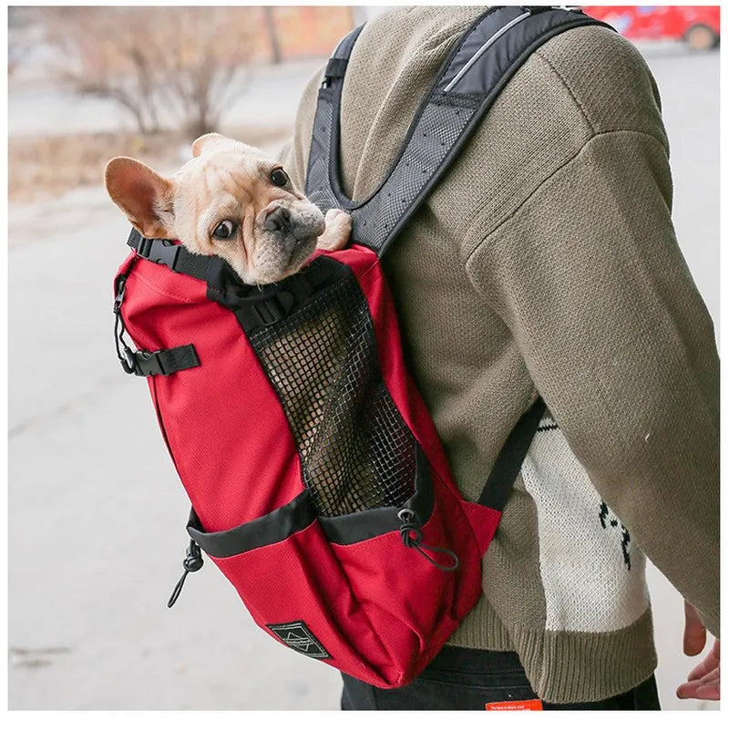 🏞️🚴‍♀️"Breath Fresh Air" Pet Carrier Backpack! 🐶💖