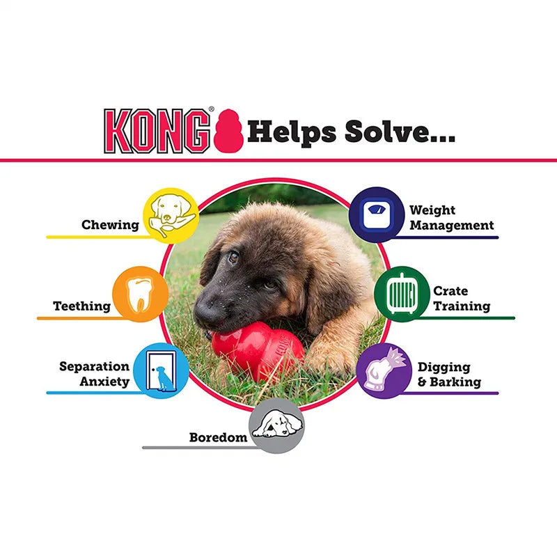 🦴 KONG Puppy Teether 🦷