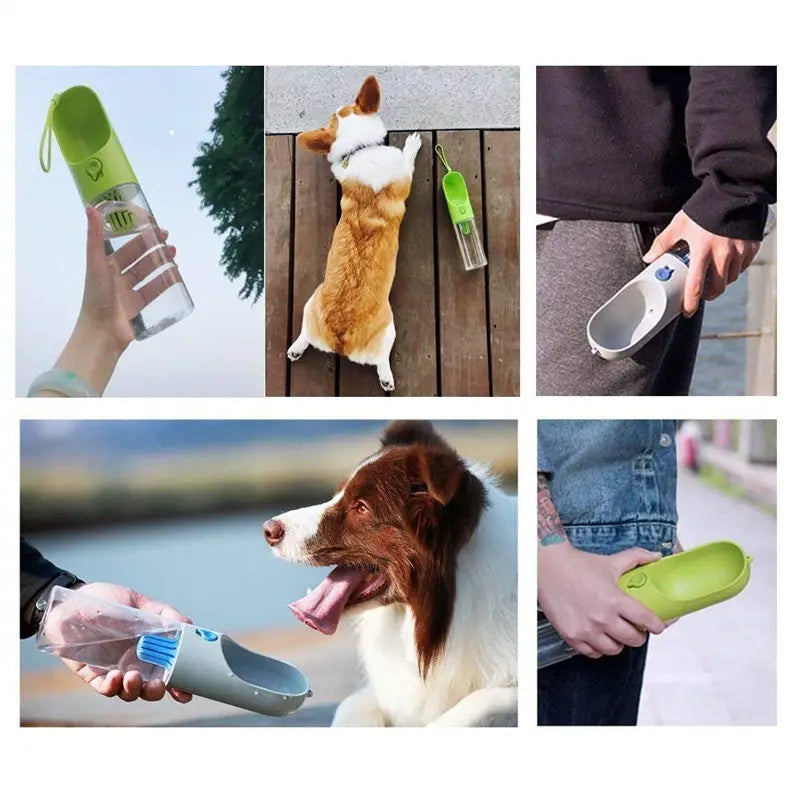 🐾💧 PETKIT Eversweet™: Keep Your Pet Hydrated ! 🐶