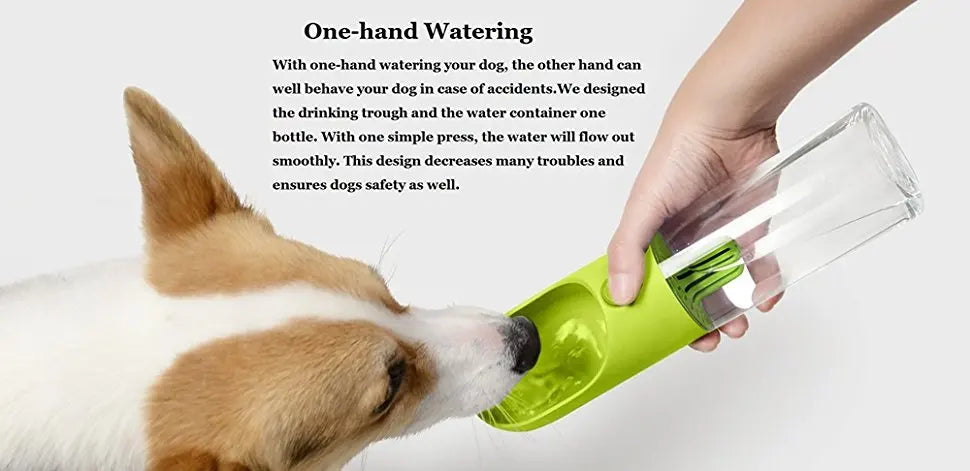 🐾💧 PETKIT Eversweet™: Keep Your Pet Hydrated ! 🐶