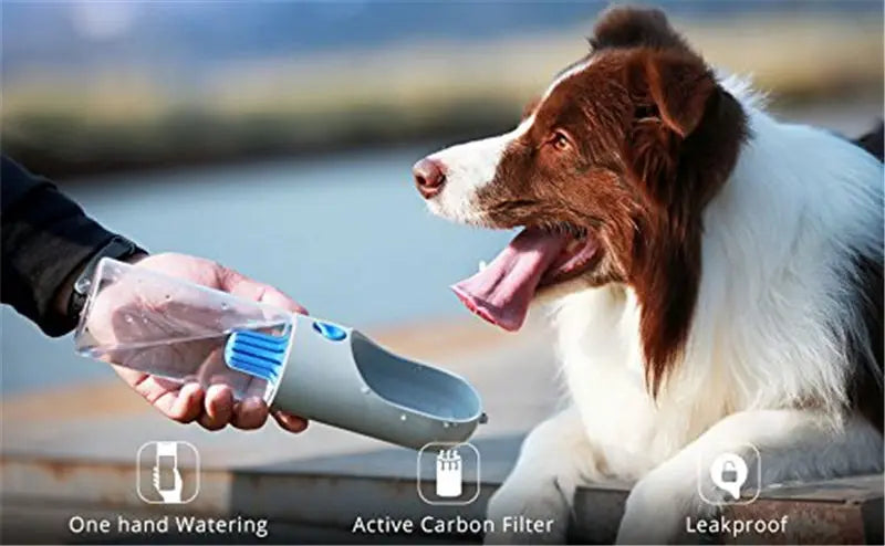 🐾💧 PETKIT Eversweet™: Keep Your Pet Hydrated ! 🐶