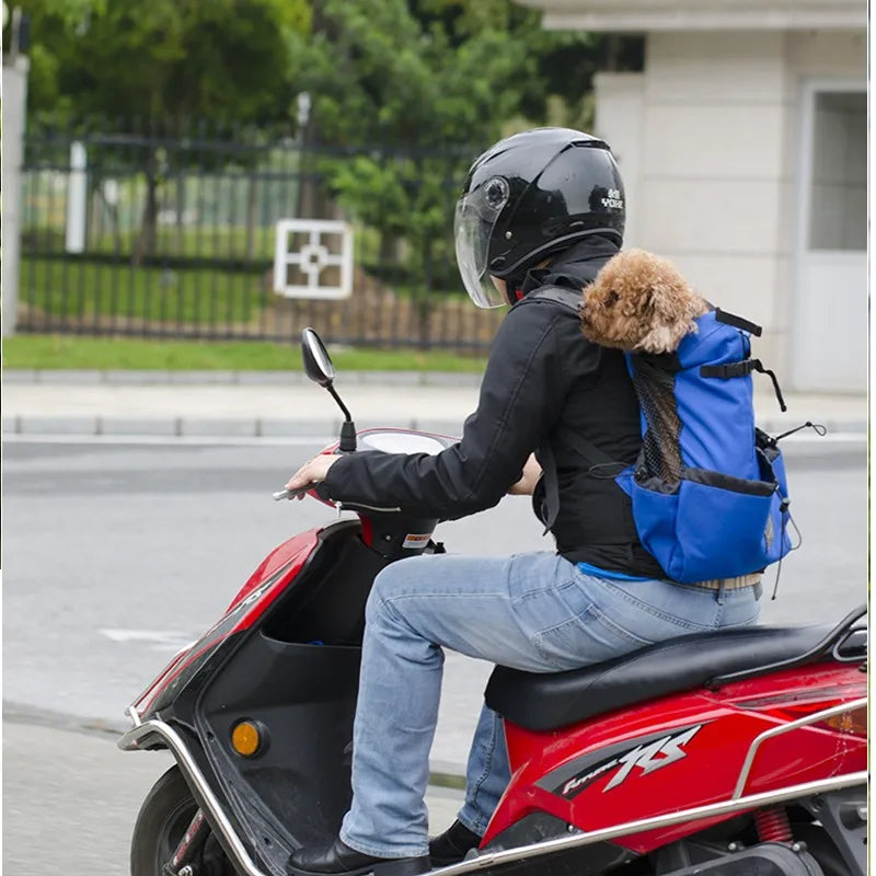 🏞️🚴‍♀️"Breath Fresh Air" Pet Carrier Backpack! 🐶💖