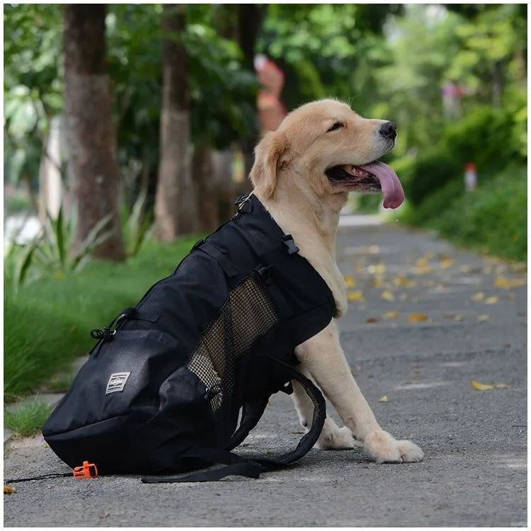 🏞️🚴‍♀️"Breath Fresh Air" Pet Carrier Backpack! 🐶💖