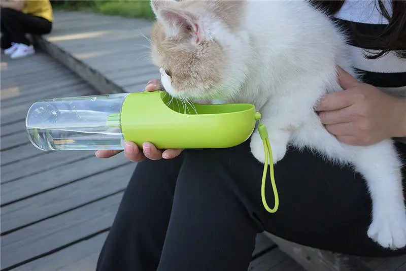 🐾💧 PETKIT Eversweet™: Keep Your Pet Hydrated ! 🐶