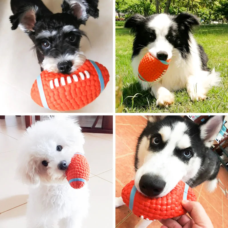 🐾 Squeaky Fun Ball:  Pup Best Friend! 🐶