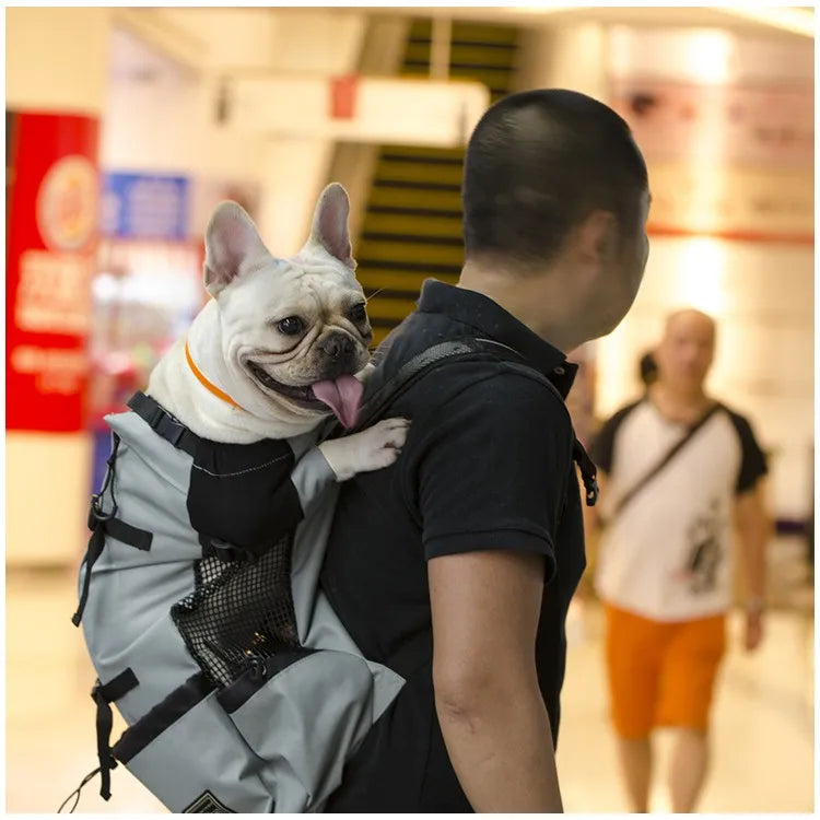 🏞️🚴‍♀️"Breath Fresh Air" Pet Carrier Backpack! 🐶💖