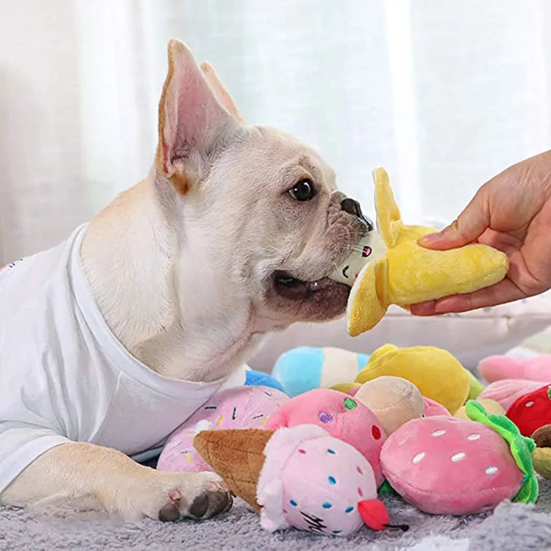 🦴 Squeaky Bone Buddies 🦴