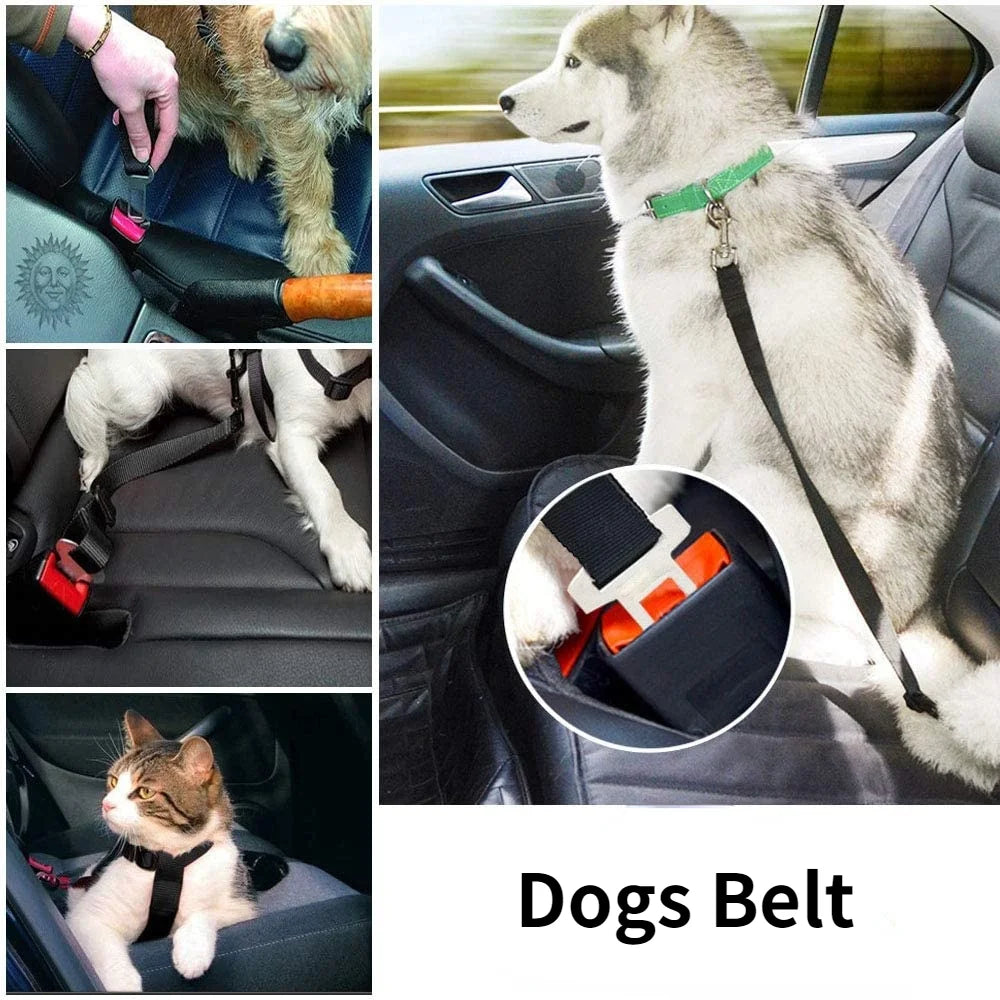 🚗 Adjustable Pet Car Seat Belt & Harness Clip 🚗