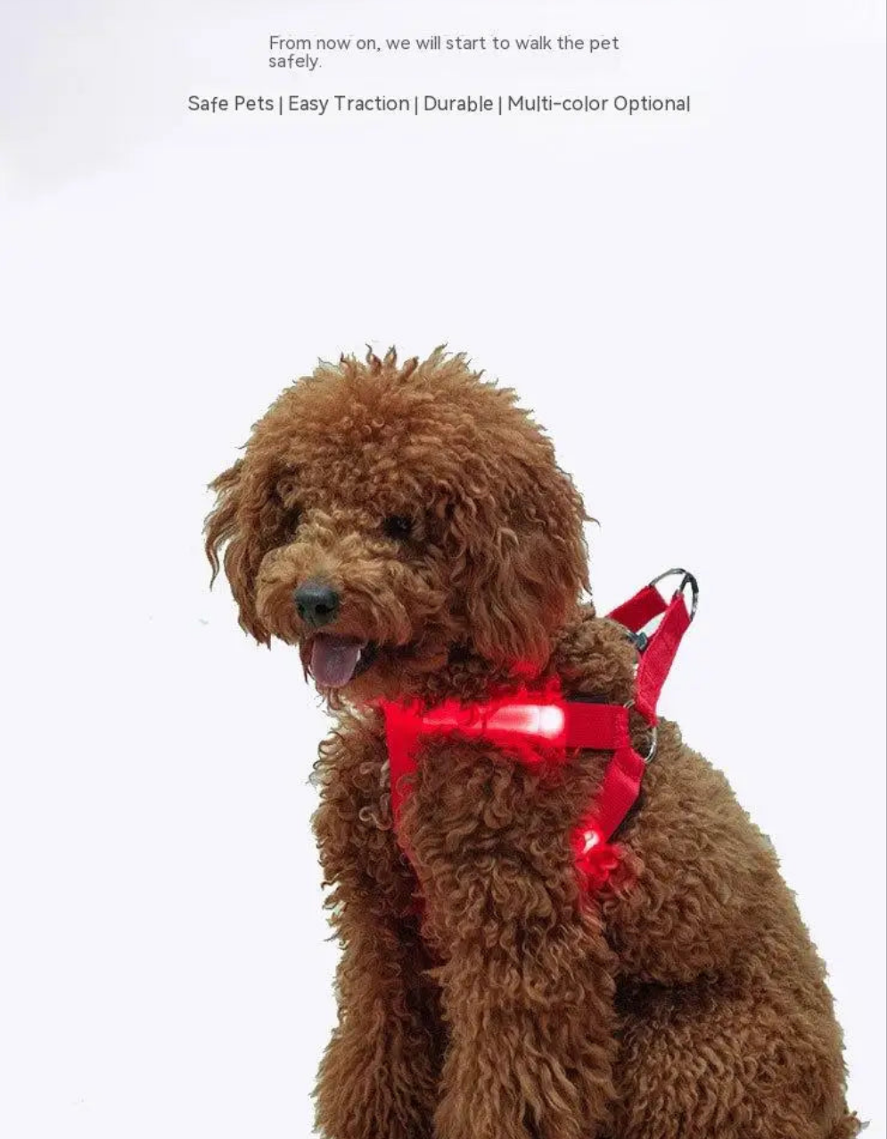 Adjustable LED Dog Harness 🌟