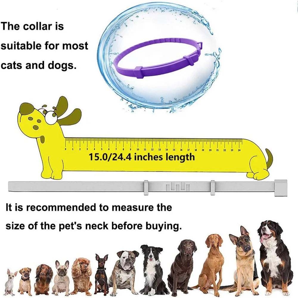 🐾 Calming Collar for Stressed Pets 🐶🐱