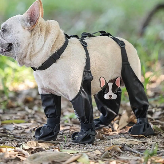 PawGuard Waterproof Adjustable Dog Boots