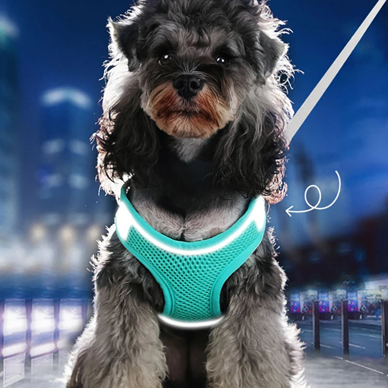 ✨ Breathable & Reflective Harness & Leash Set ✨