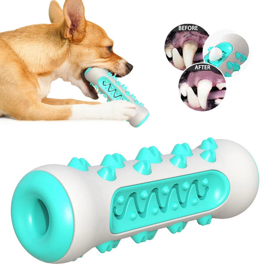 🦷 Dog Molar Toothbrush Toy 🐶