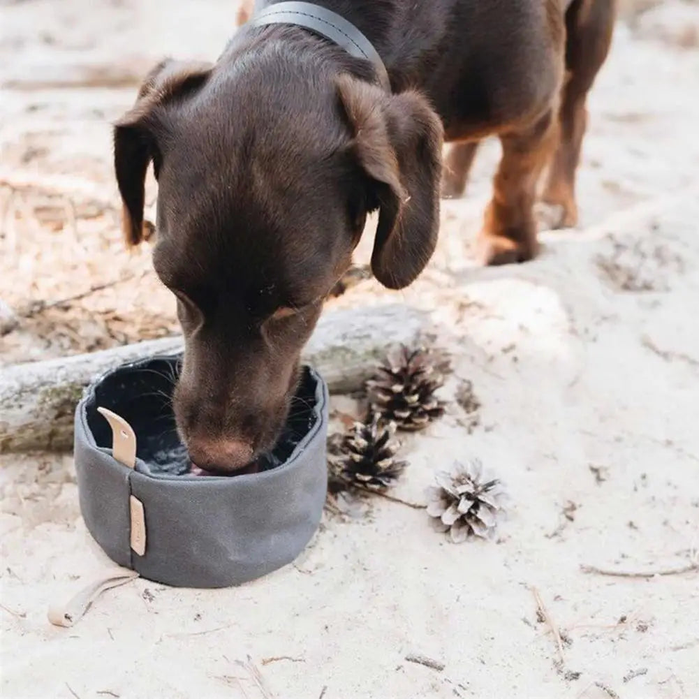 🏞️ The 1000ml Foldable Dog Bowl 🐶