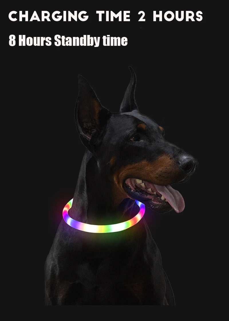 ✨ Night-Bright LED Collar ✨