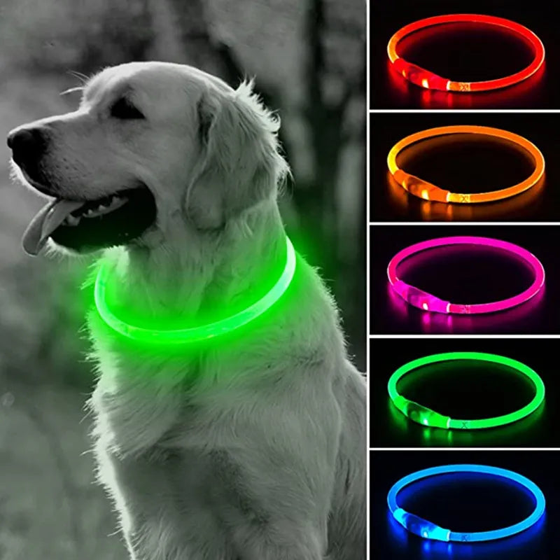 ✨ Night-Bright LED Collar ✨