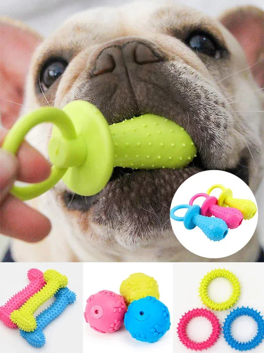 🦷 Squeaky Fun Ball for Small Dogs 🐶