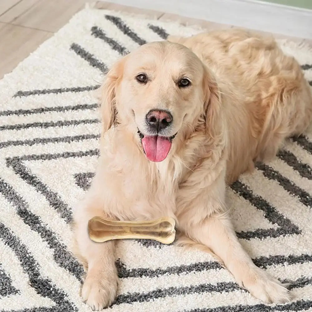 🍖 Beefy Chew Bone for Teething Pups 🐶