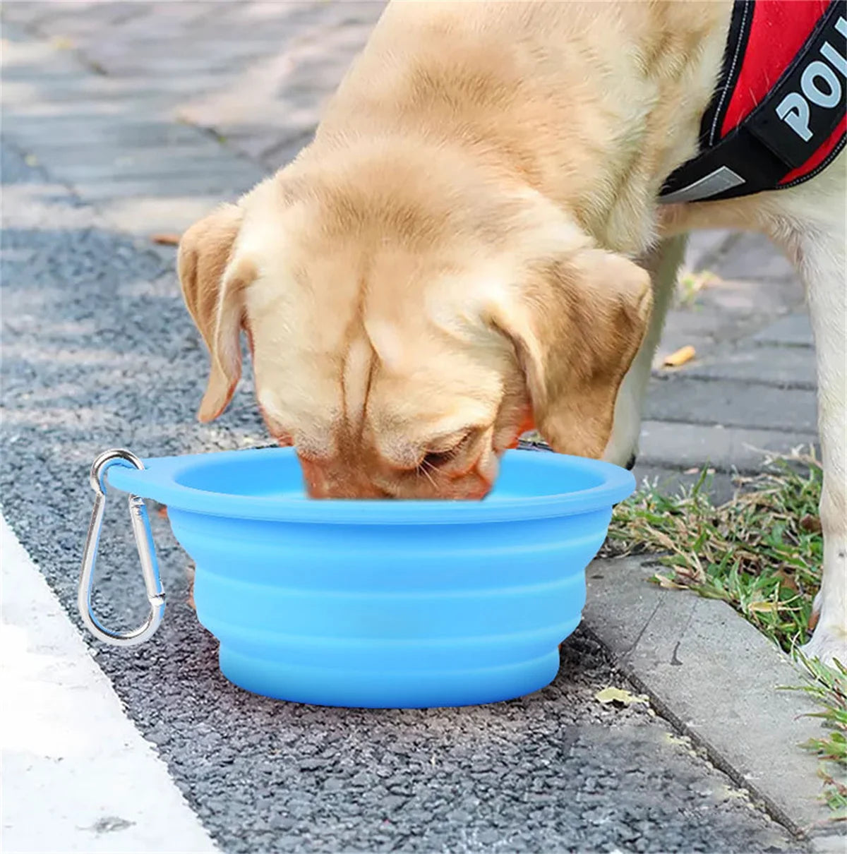 🐶 Your Pup's Perfect Travel Buddy! 🐾 Expandable Feast Bowl