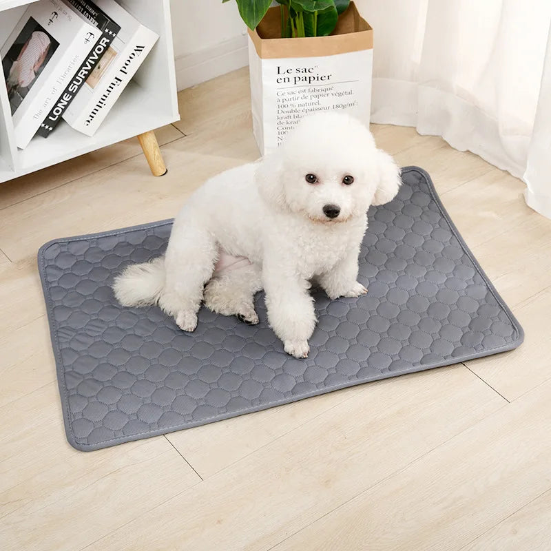 🐾 Dry & Snuggly Pet Mat ☁️