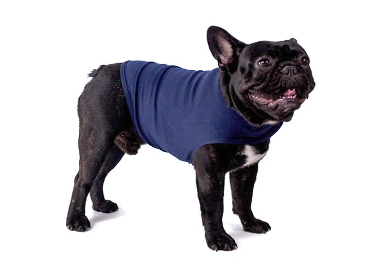 🐾 Calming Cuddle Vest for Anxious Pups 🐶