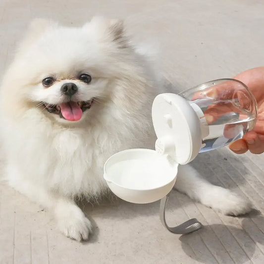 Outdoor Travel Drinking Portable Cup 🐾