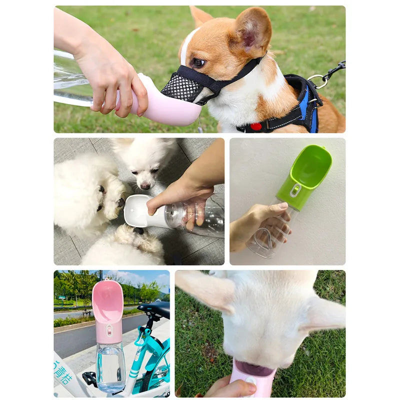 💦The 2-in-1 Travel Companion for Thirsty & Hungry Pups! 🐶🐾