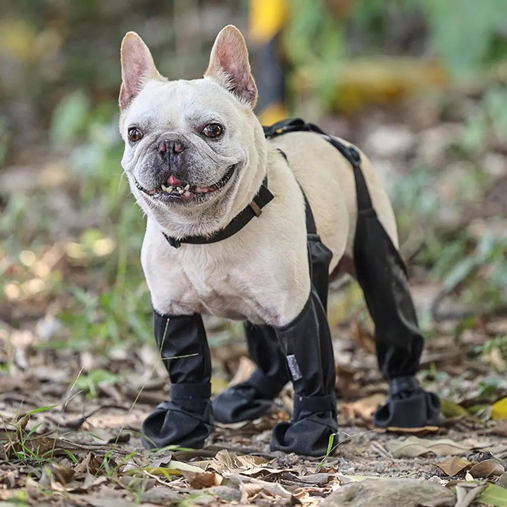 PawGuard Waterproof Adjustable Dog Boots