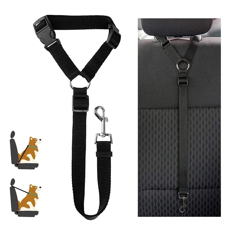 🐾 Two-in-One Dog Harness & Seat Belt 🐾