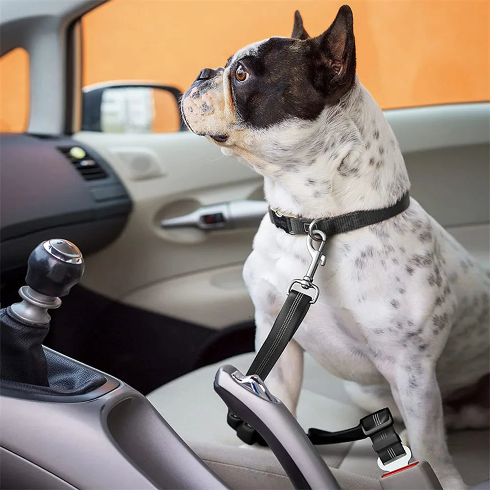 Reflective Retractable Dog Car Seat Belt Safety Leash 🐾