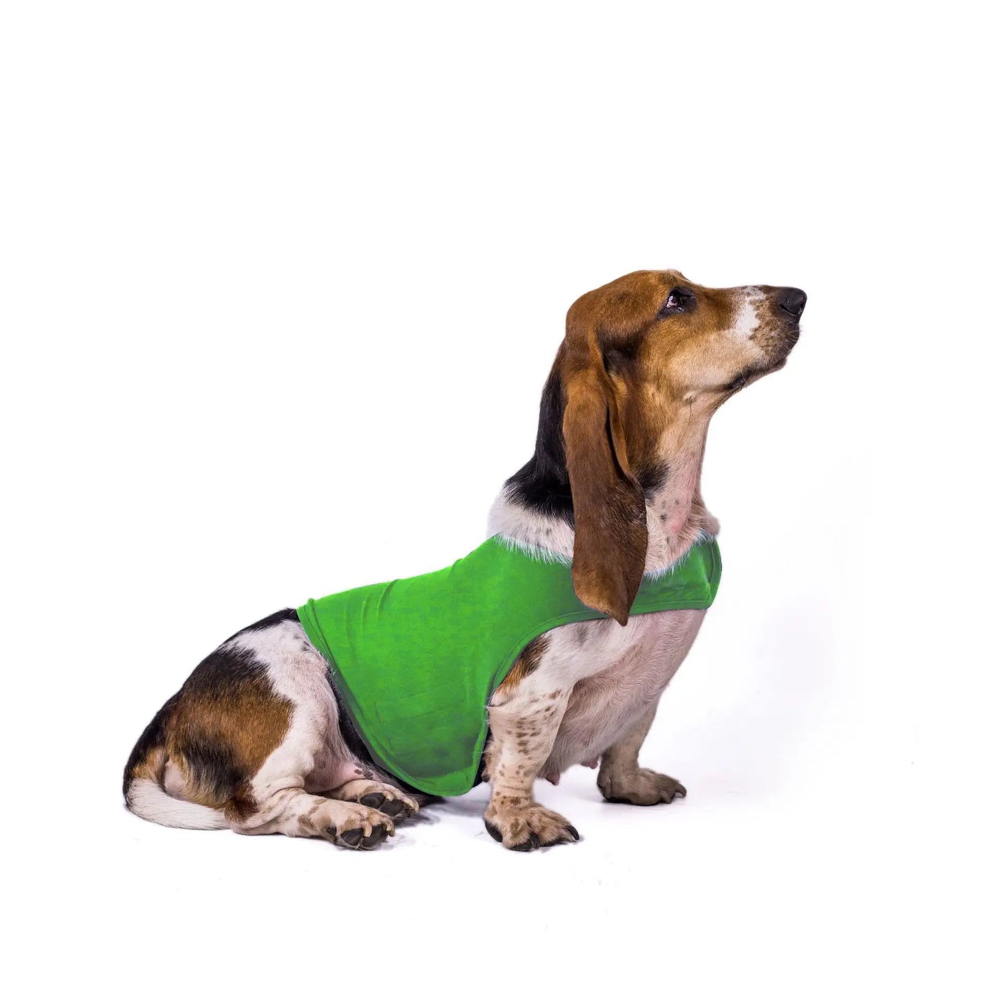 🐾 Calming Cuddle Vest for Anxious Pups 🐶