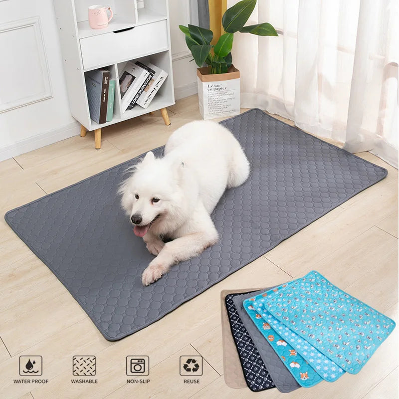 🐾 No-Stress Pee Pad 💧