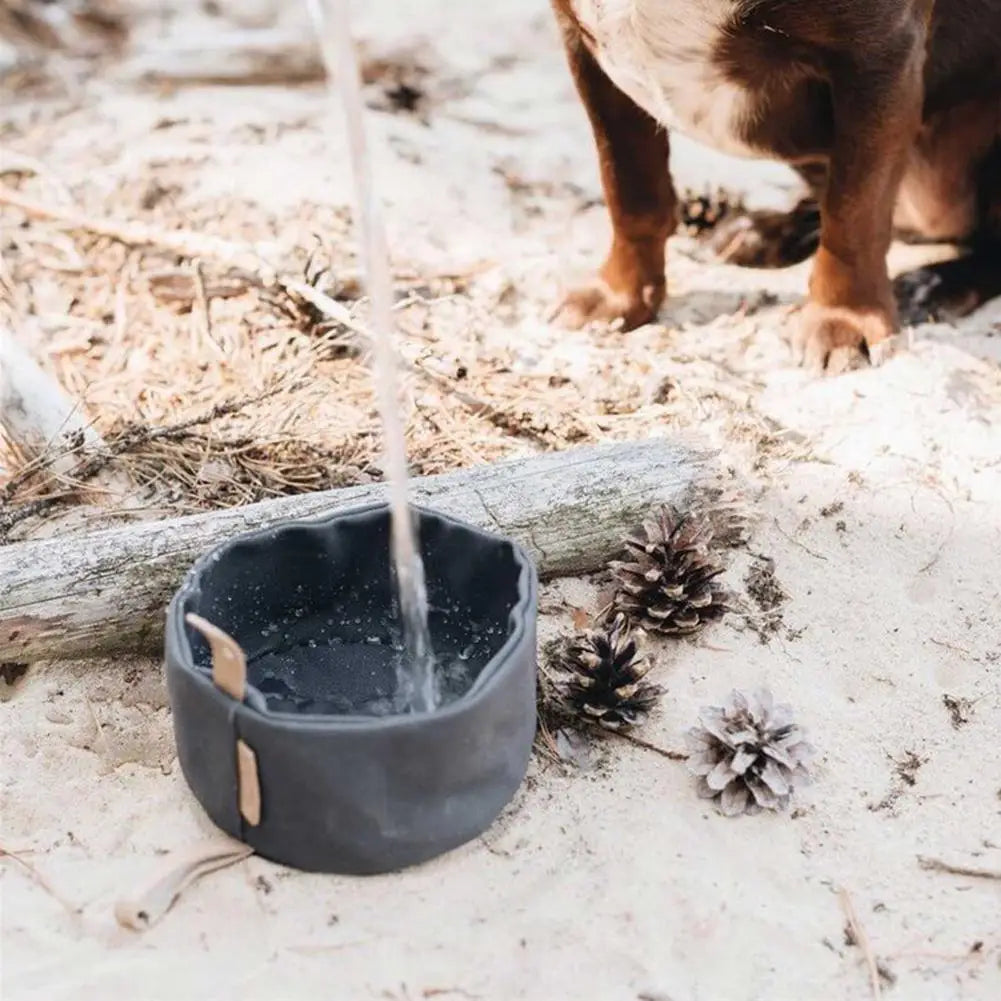 🏞️ The 1000ml Foldable Dog Bowl 🐶