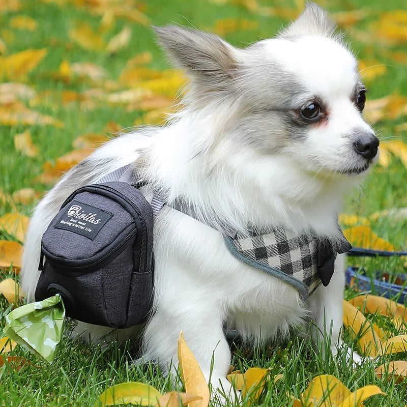 💼 Treat & Train Pouch 🦮