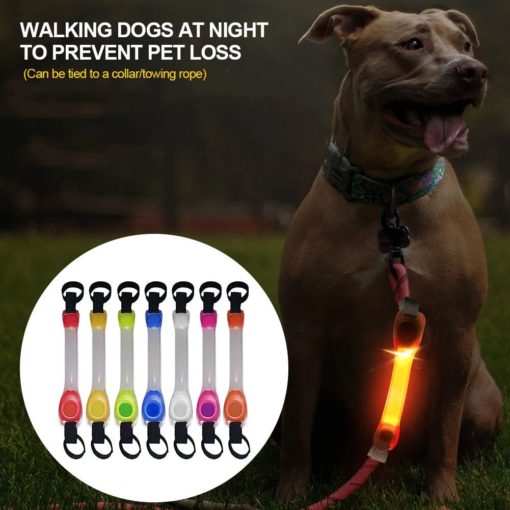 Dog Safety LED Glowing Collar 🐾