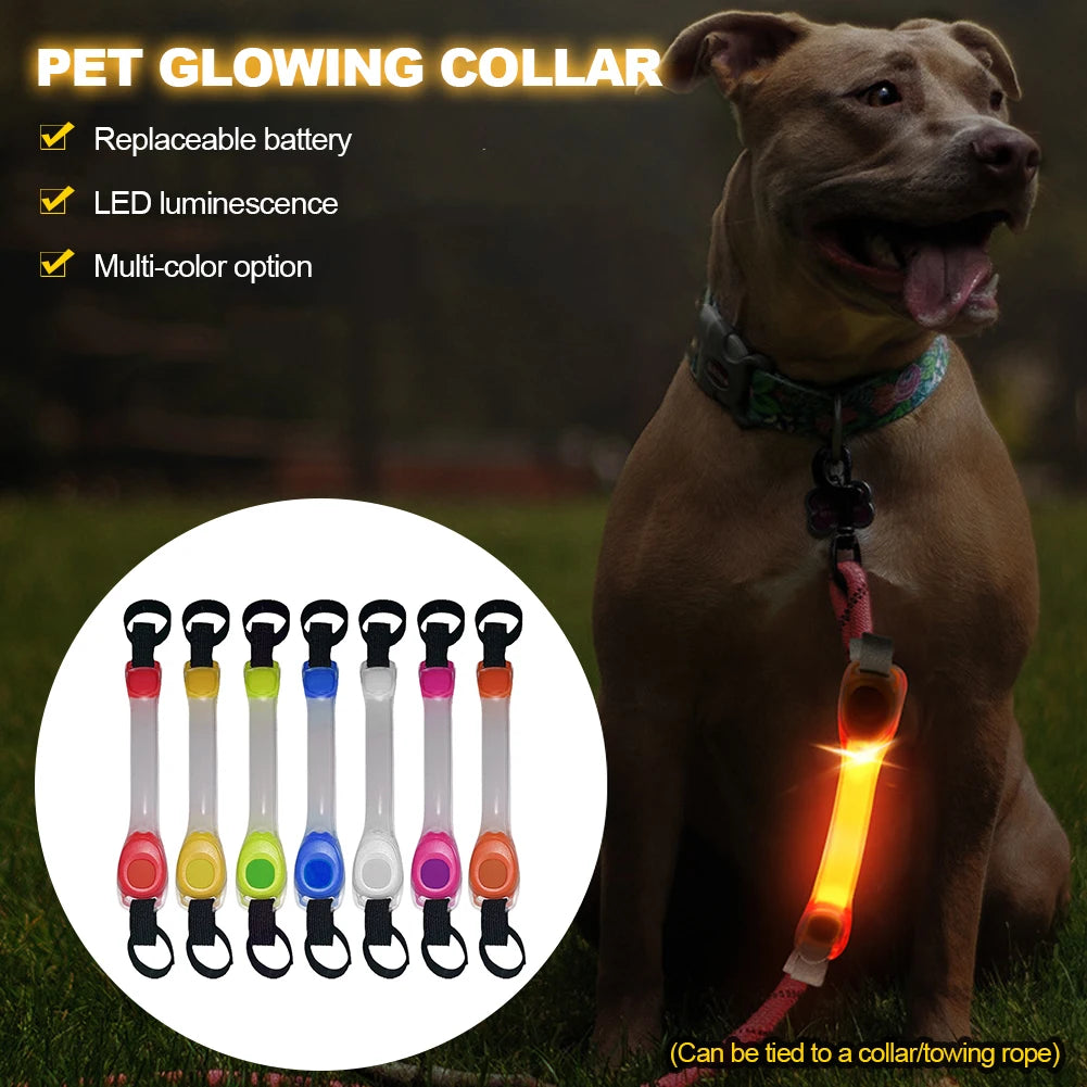 Dog Safety LED Glowing Collar 🐾