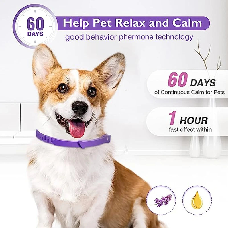 🐾 Calming Collar for Stressed Pets🐶