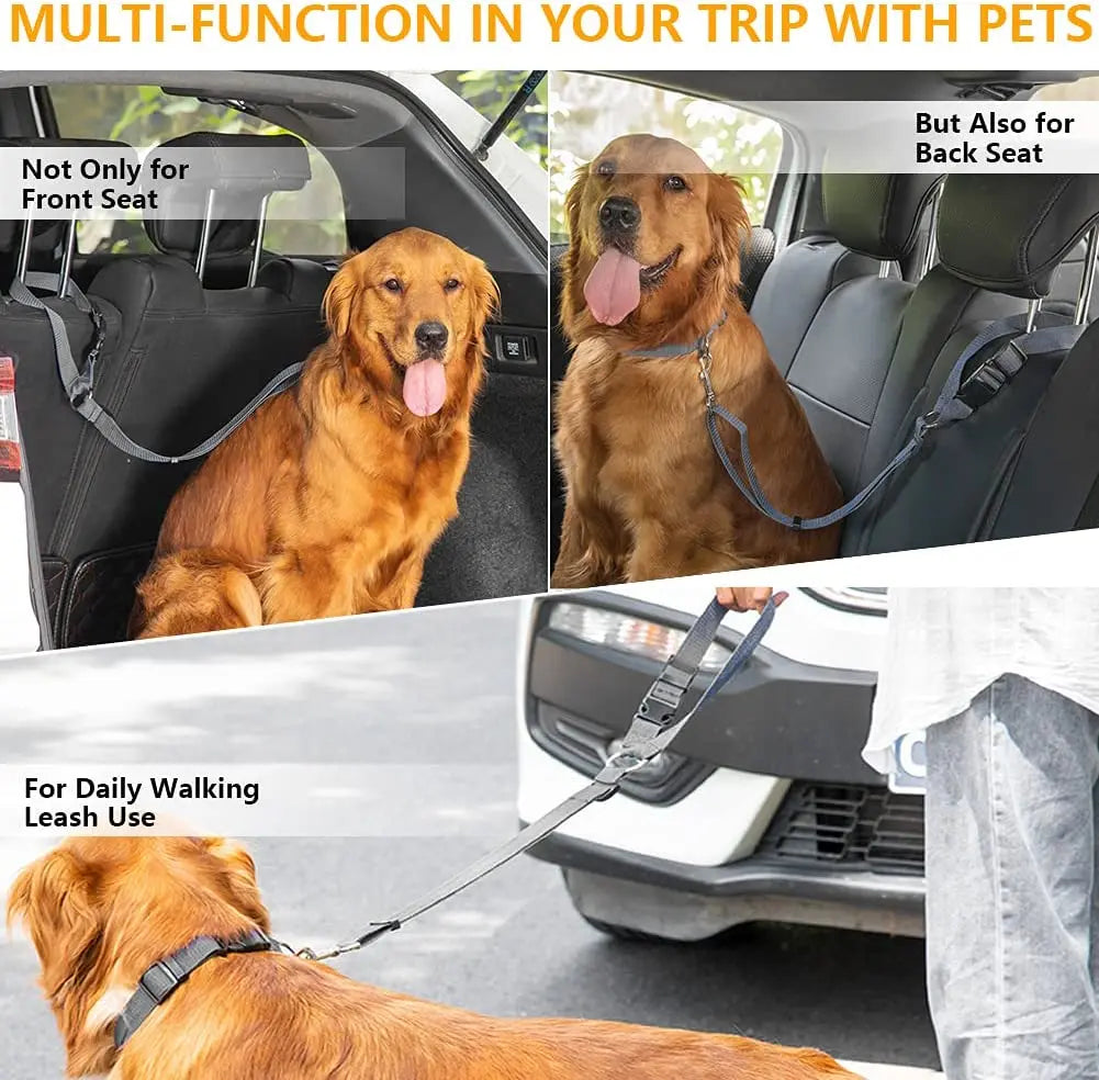 🐾 Two-in-One Dog Harness & Seat Belt 🐾