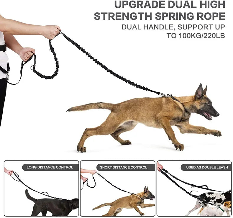 🦮 Hands-Free Walk & Train Pack 🐕‍🦺