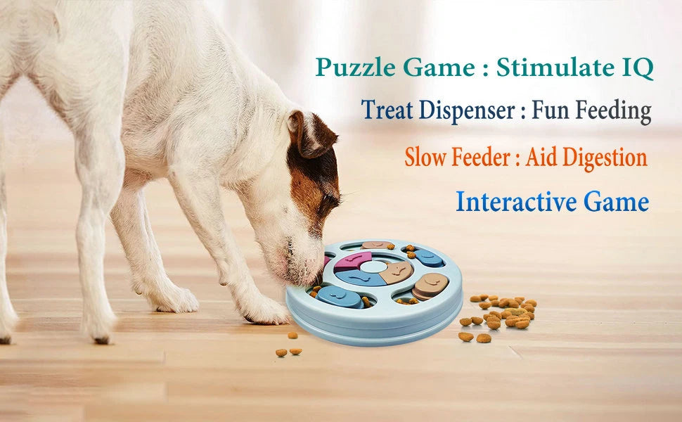 🧠 Slide & Seek Puzzle Bowl 🧠