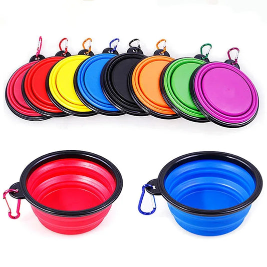 🏞️  The Collapsible Dog Bowl 🐶