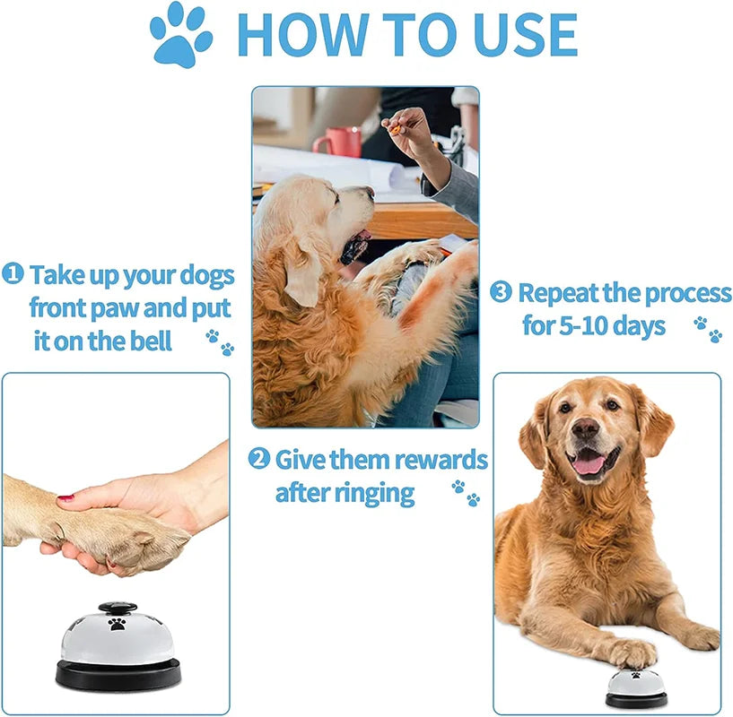 🔔 Training Clicker & Bell Combo 🔔