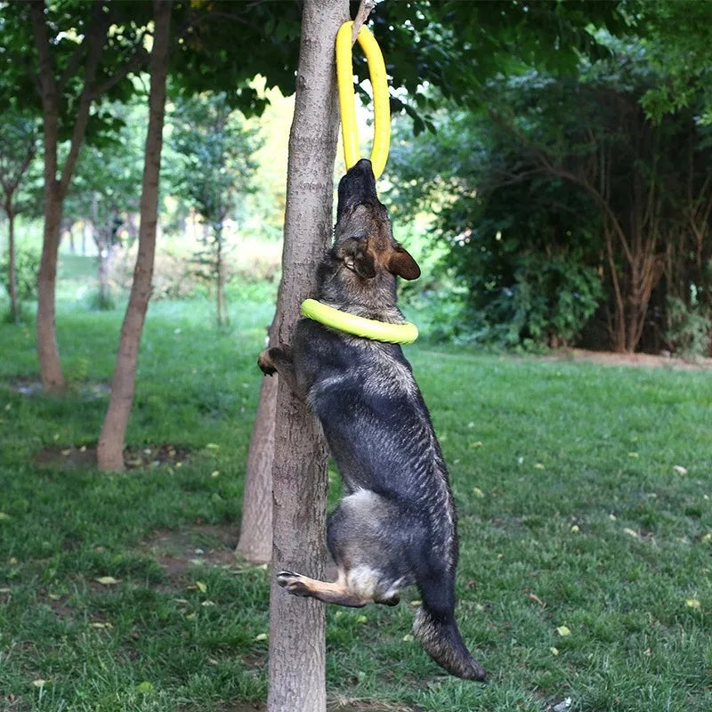 🥏 Training Ring Puller 🥏