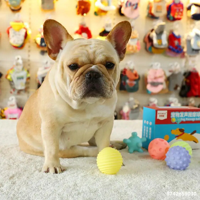 🐾 Squeaky Dog Ball 🎾