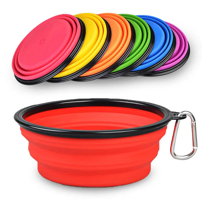 🏞️  The Collapsible Dog Bowl 🐶