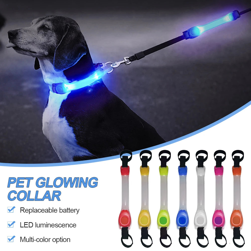 Dog Safety LED Glowing Collar 🐾