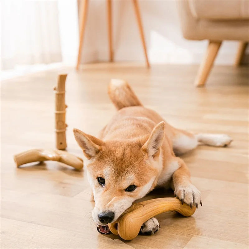 🌲 Pine Antler Chew Stick 🌲